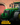 John Deere - CabGear